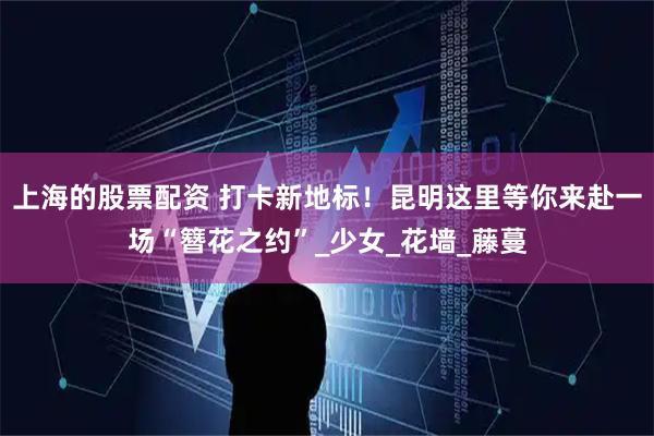 上海的股票配资 打卡新地标！昆明这里等你来赴一场“簪花之约”_少女_花墙_藤蔓
