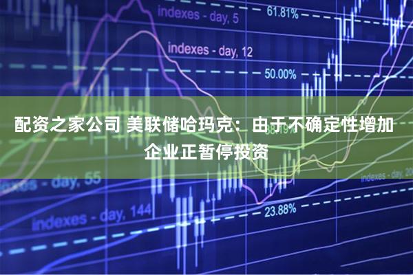 配资之家公司 美联储哈玛克：由于不确定性增加 企业正暂停投资