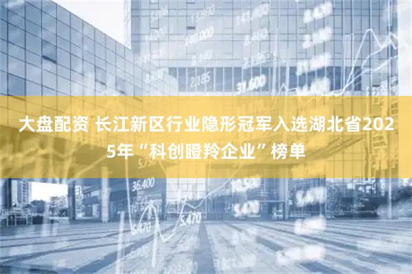 大盘配资 长江新区行业隐形冠军入选湖北省2025年“科创瞪羚企业”榜单