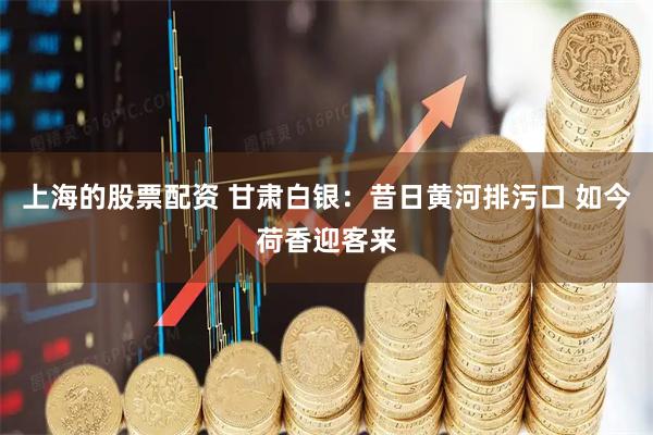 上海的股票配资 甘肃白银：昔日黄河排污口 如今荷香迎客来